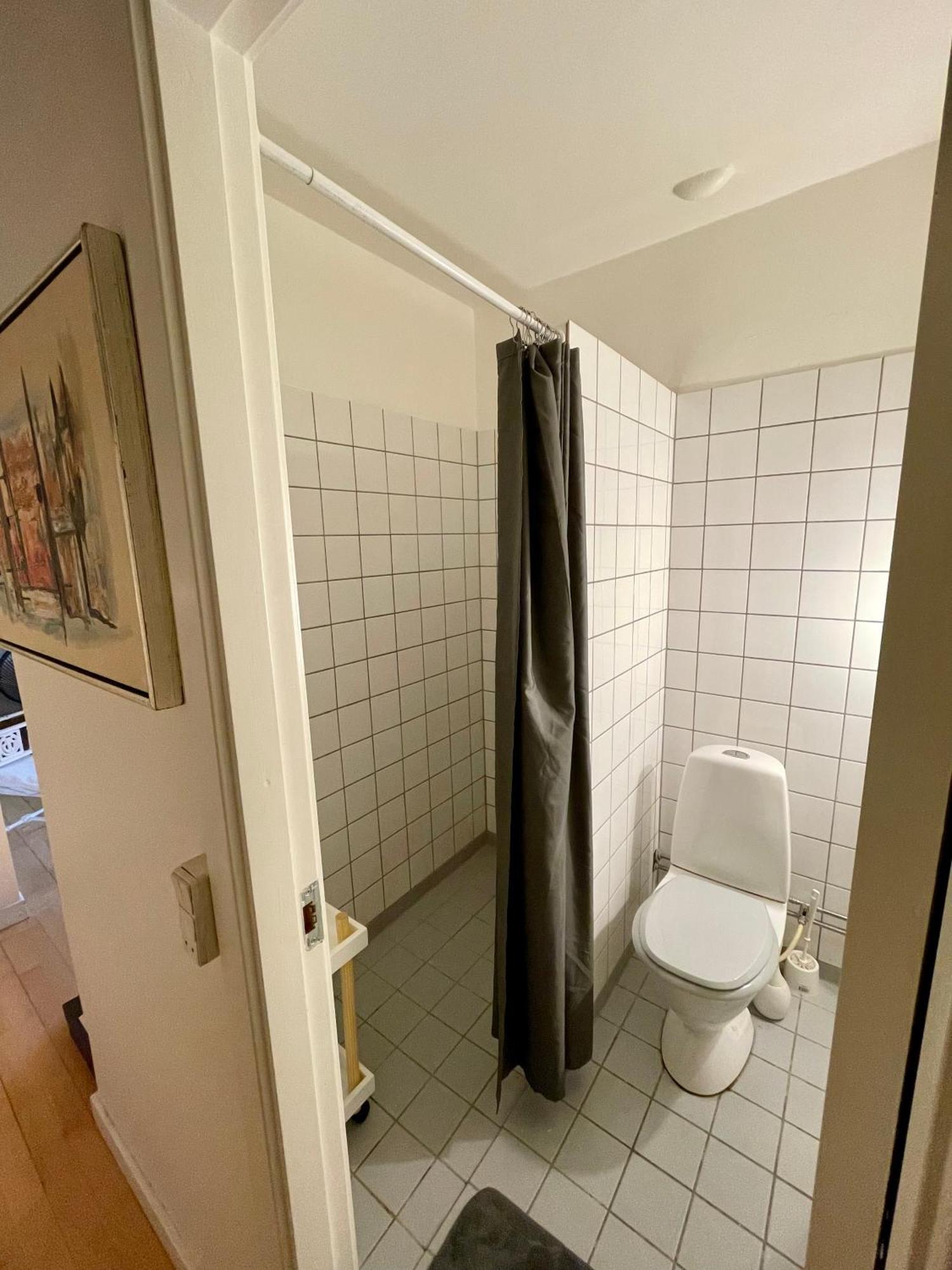 Lejlighed Med Udsigt Til Frederiksberg Have Copenhagen Luaran gambar